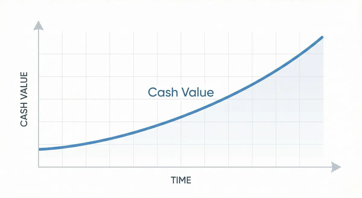 Conceptual curve showing cash value growth over time